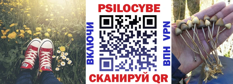 kraken ТОР  Хасавюрт  Галлюциногенные грибы ЛСД 