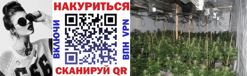 Конопля гибрид  закладка  Хасавюрт 
